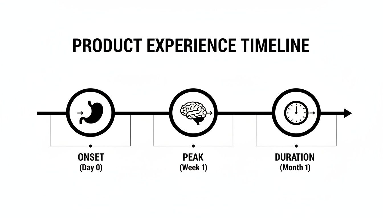 Product experience timeline illustrating onset (day 0), peak (week 1), and duration (month 1) stages.