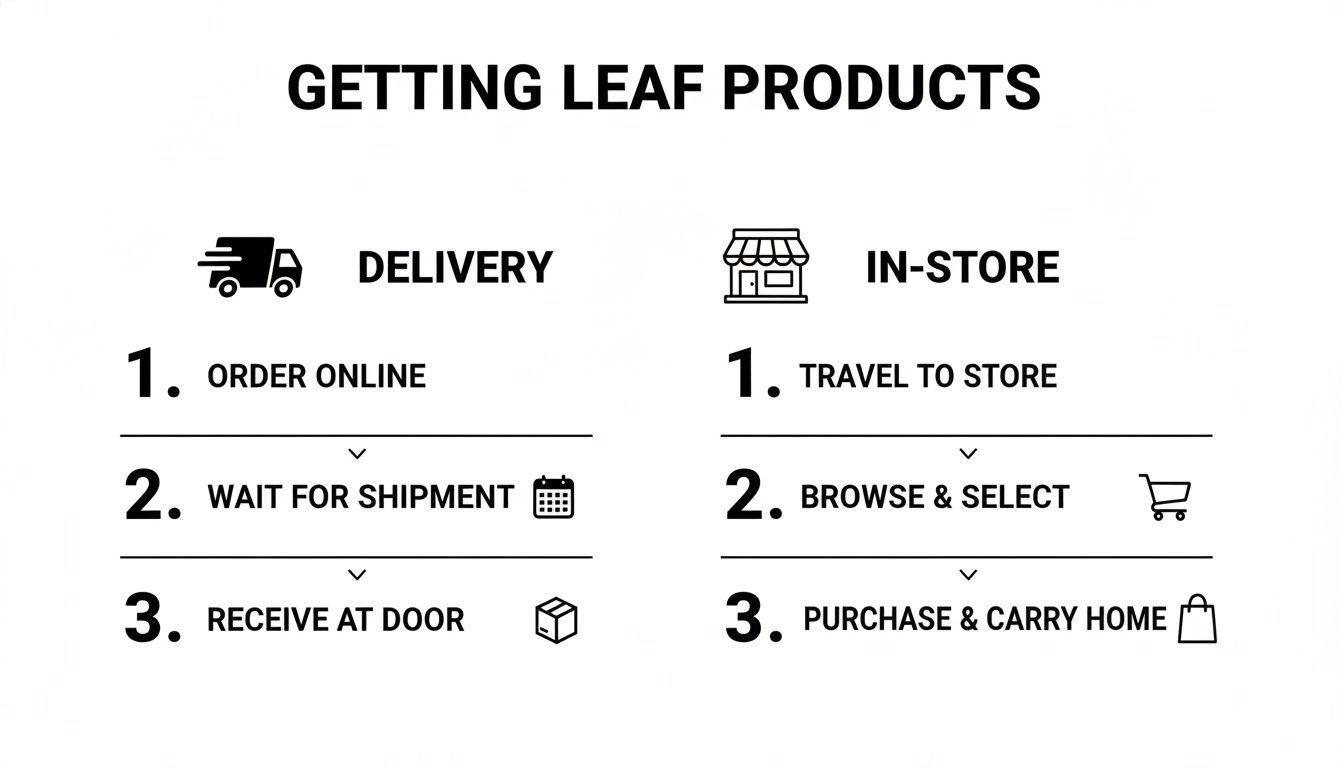 Visual guide outlining two methods for getting Leaf products: home delivery and in-store purchase.