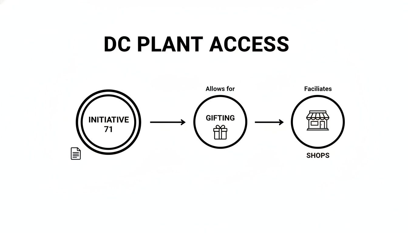 Flowchart illustrating DC Plant Access through Initiative 71, enabling gifting and facilitating shops.