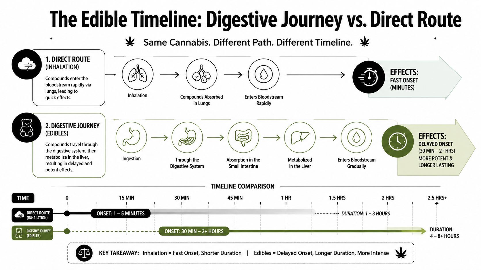 An infographic comparing the digestion and onset time of inhaled cannabis versus edible cannabis consumption methods.