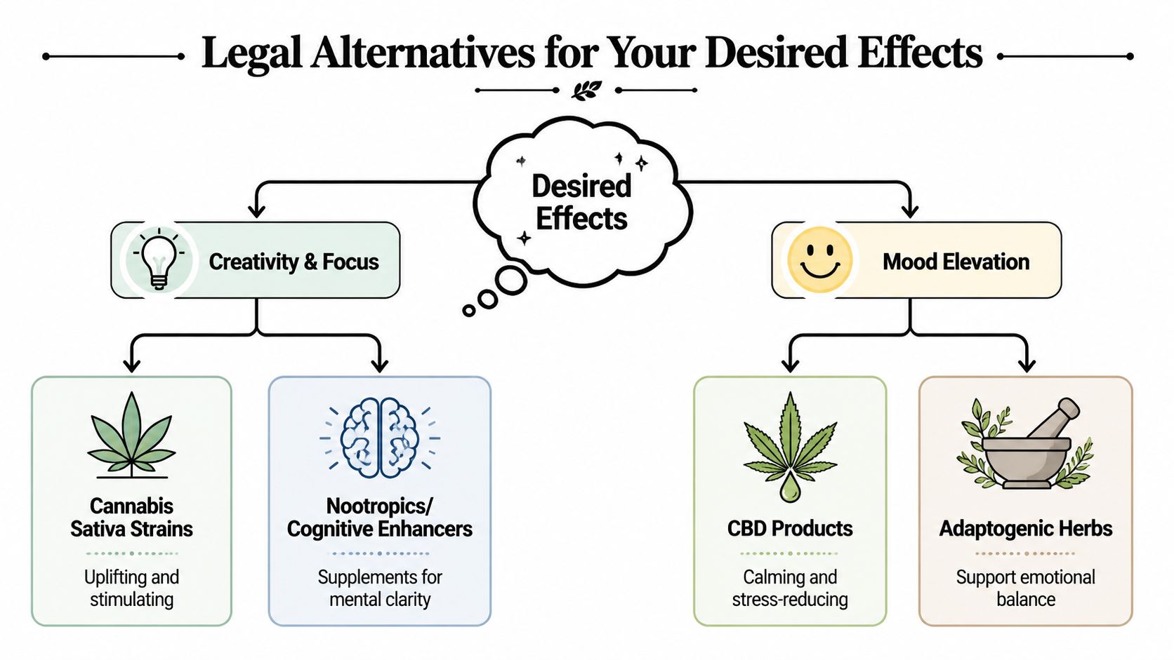 An infographic showing legal alternatives for desired effects like creativity, focus, and mood elevation through various natural products.