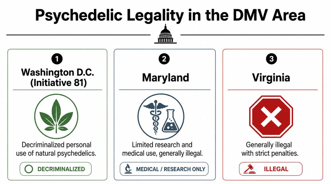 An infographic showing the legality of psychedelics in Washington D.C., Maryland, and Virginia.
