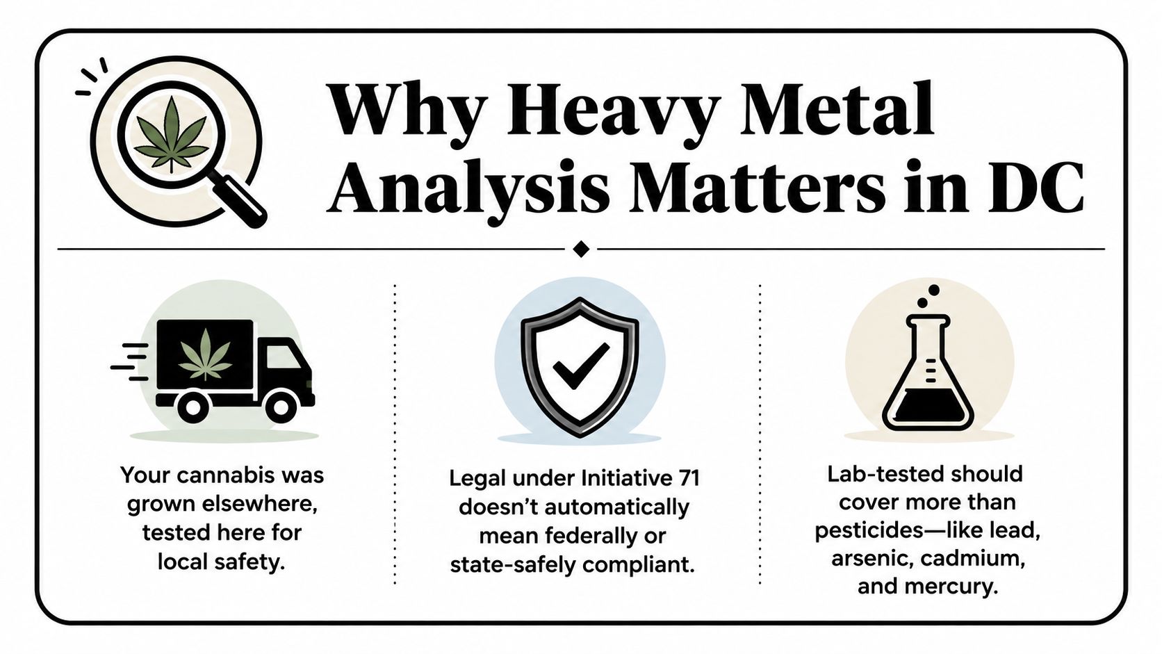 An infographic titled Why Heavy Metal Analysis Matters in DC explaining cannabis safety testing standards.
