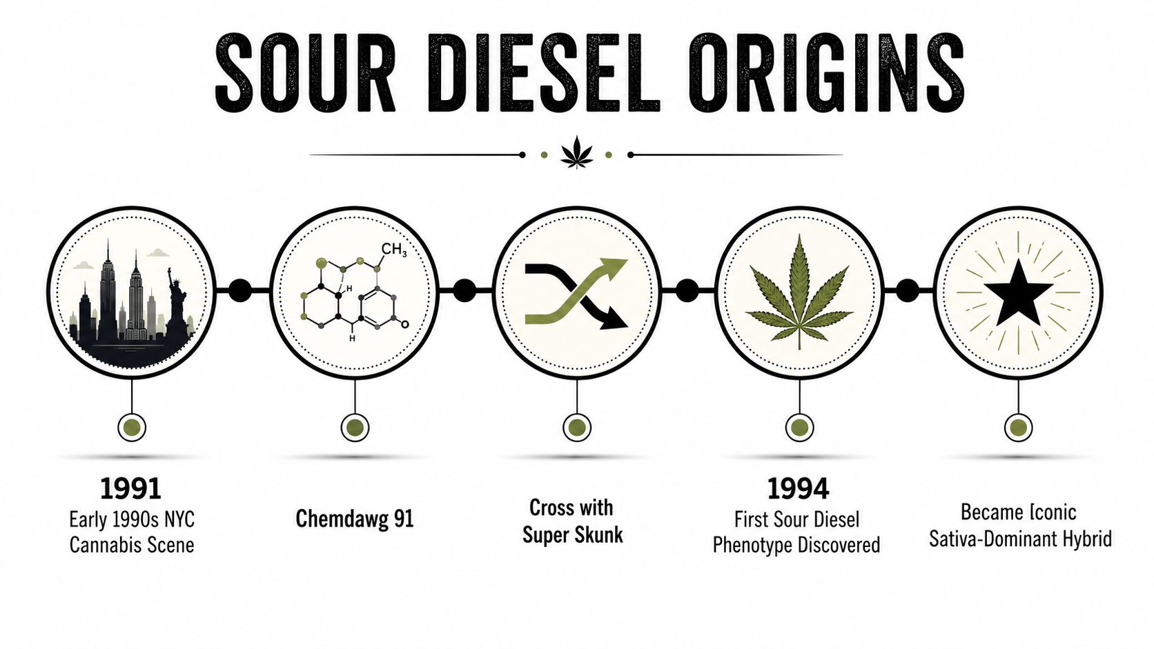 A timeline graphic showing the history and origins of the popular cannabis strain Sour Diesel.